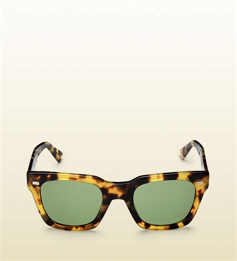 gucci havana green sunglasses|Gucci women's urban sunglasses havana.